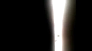 Fat ass