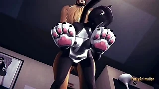 Furry Hentai - Fox fucks cat anent creampie - Anime manga Yiff Japanese 3D Porn